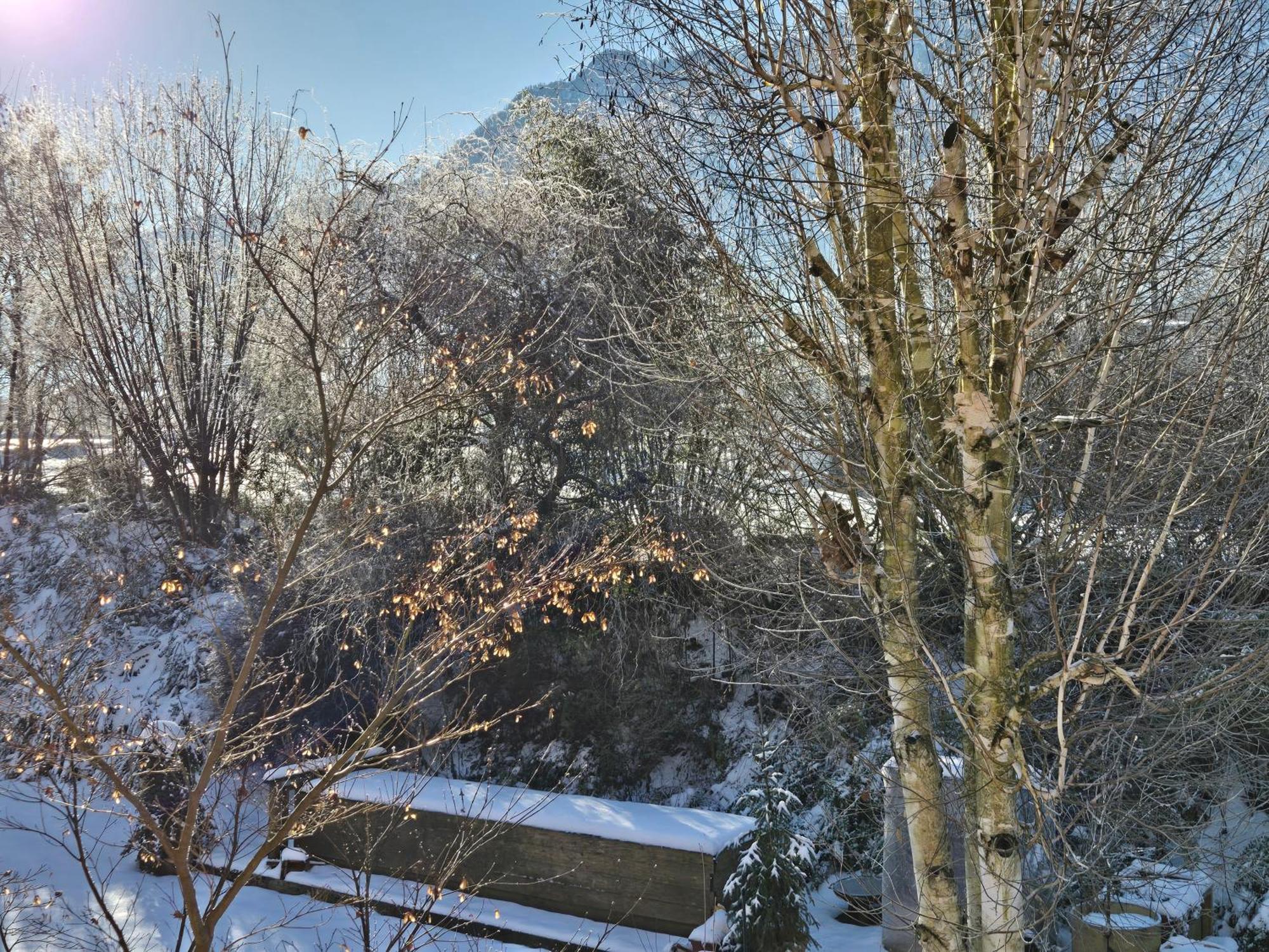 Alpenblumal Lägenhet Bad Goisern Exteriör bild